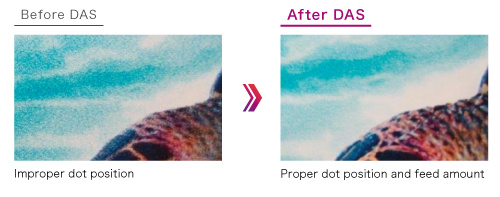 Automatic Dot Adjustment: DAS1 (Dot Adjustment System 1)