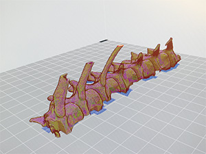 Animal skeleton 3D model created soon after purchasing the 3DFF-222